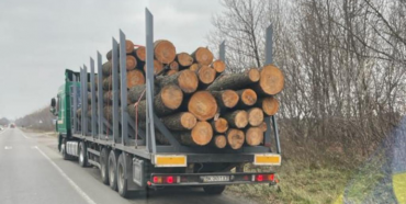 Біля Рівного зупинили вантажівку з незаконною деревиною